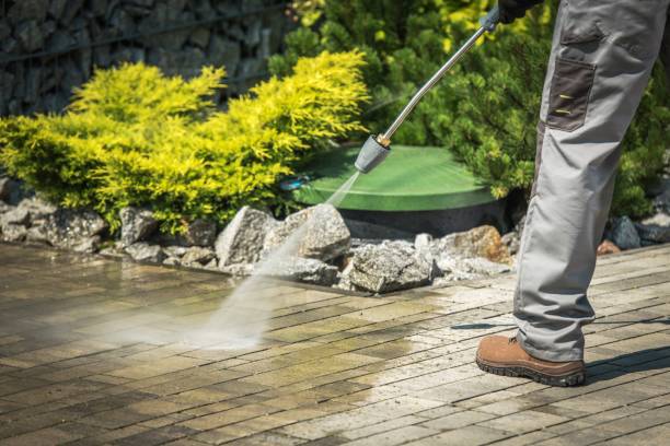 Best Boat and Dock Cleaning  in Spring Lake Park, MN