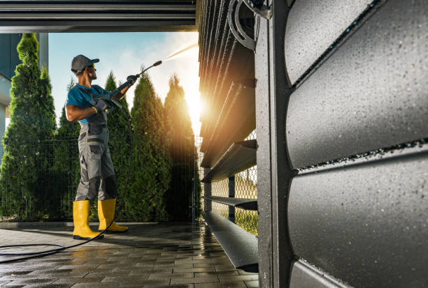 Best Rust Removal  in Spring Lake Park, MN
